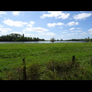 Die Saône fließt hier durch eine ebene Landschaft